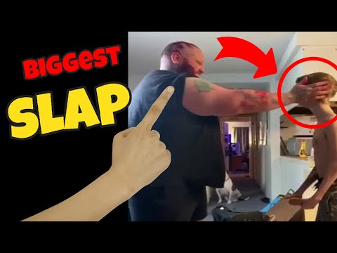 Daddy long neck - THE SLAP THAT CHANGED MY LIFE