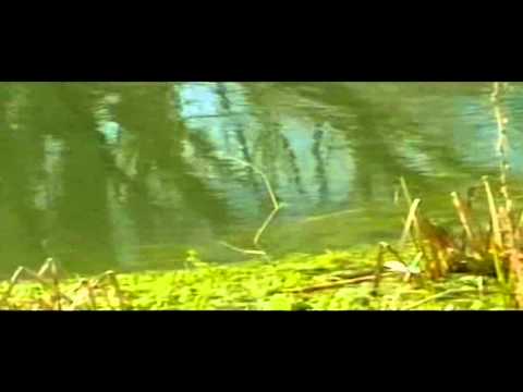 ONDA TG 13.06.2014 - BUSSI APPELLO VESCOVI ABRUZZO E MOLISE