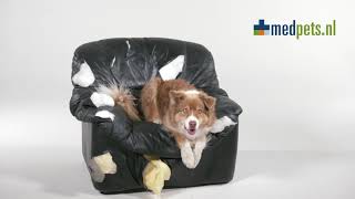 TVC Campagne met tag-ons - Fauteuil