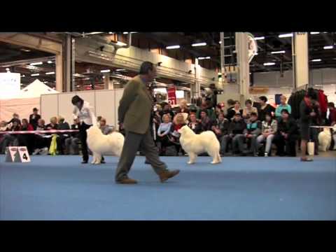 Helsinki Winner 2010