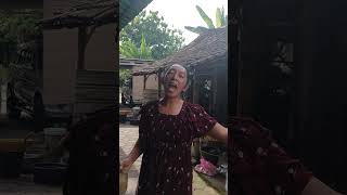 Download lagu Tandang gawwevdewe semangat mak,e#fyp#jangkuanluas#firal mp3