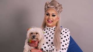 Battersea Rescues Meet: Drag Queens