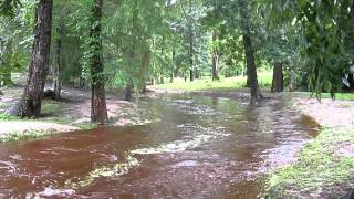 preview picture of video 'Turkey Creek after TS Debby - Near Alachua, FL - 6/26/2012'