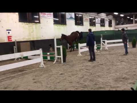 O-boy b vd zwartbleshoeve