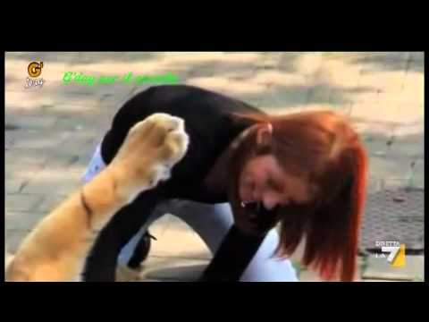 G'DAY con Geppi Cucciari 27/06/2011 - G'Day per il sociale: NO TAB (no tigri alla Brambilla)