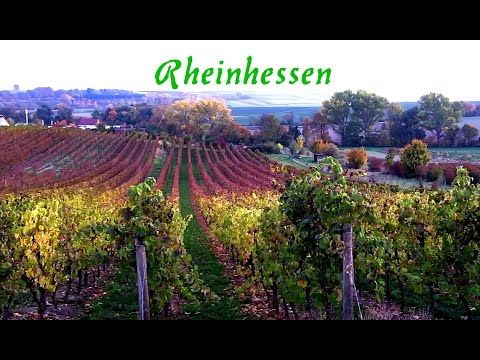 Rheinhessen
