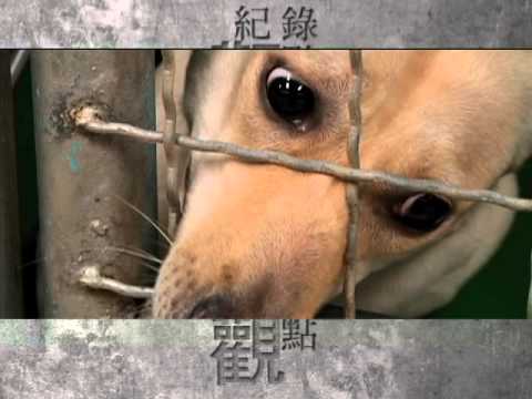 鸟的幸运号码