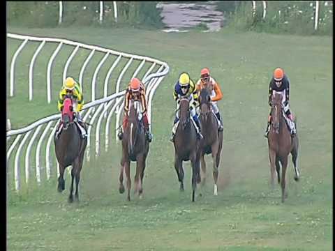 Galoppo 28/06/2017 - 3ª corsa