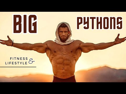Mister Pythons Shirtless  | Fitness And Lifestyle