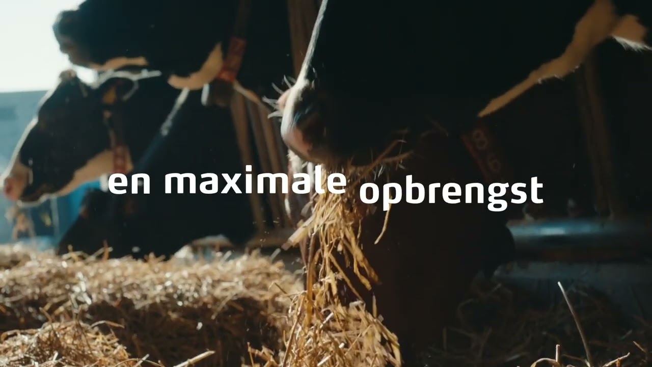YaraPlus