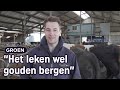 Boer Christian (30) haalt energie uit koeienstront | RTV Oost