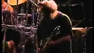 Grateful Dead Perform &quot;Foolish Heart&quot; RFK 90  (NK)