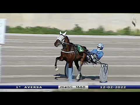 Aversa trotto 12 Febbraio 2022 - 1° Corsa