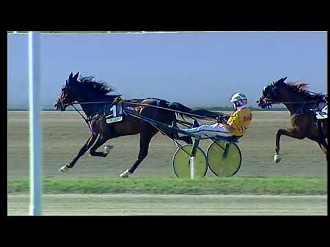 Napoli Trotto 08/05/2021 - 8ª corsa