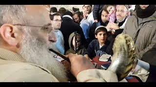 אמונה בדעה צלולה