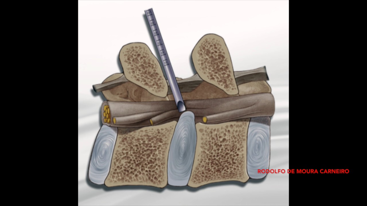 Rodolfo De Moura Carneiro-8