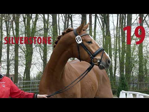 19 Silverstone