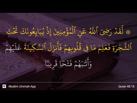 Al-Fath ayat 18