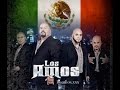 Los Amos - "Pal Terre"  (Audio)