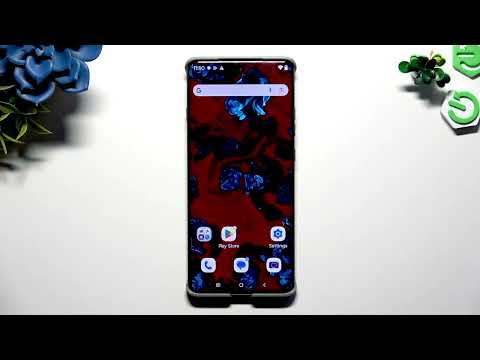 MOTOROLA RAZR 2025 – How to Turn On or Off Auto Rotate Screen