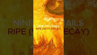 Nine Inch Nails - Ripe (With Decay) #nineinchnails #ripe #decay #thefragile #trentreznor #90s #rock