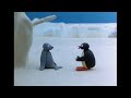 Pingu And The Camera Pingu Official Channel Cartoons For Kids