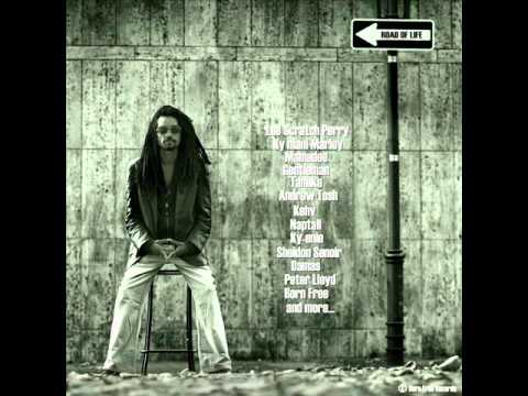 [Official]  Road of Life Riddim (album)- Born Free Records