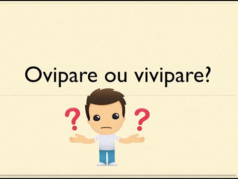 ovipare ou vivipare ?