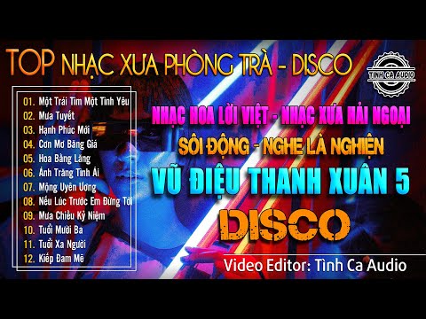 Vũ Điệu Thanh Xuân 5 - DISCO | LK Nhạc Hoa Lời Việt - Nhạc Xưa Hải Ngoại Sôi Động - Nghe Là Nghiện