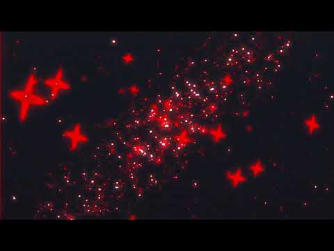 pGb - Thay Like Sam Pr Tk (Lyric Video)