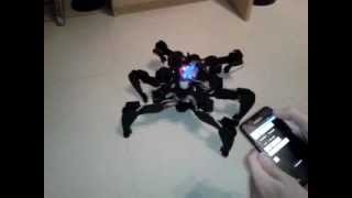 preview picture of video 'Hexapod Crabby demo.mp4'