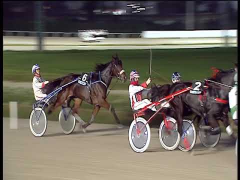 Trotto 23/11/2018 - 4ª corsa