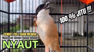 Download lagu burung cendet gacor EMOSI MATERI JUARA buat PANCINGAN CENDET AGAR BUNYI bikin BURUNG PENTET GACOR mp3 Download lagu burung cendet gacor EMOSI MATERI JUARA buat PANCINGAN CENDET AGAR BUNYI bikin BURUNG PENTET GACOR mp3