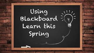 Blackboard Navigation| CFSS Tips