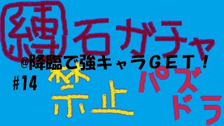 【パズドラ】ガチャ縛り＃14　降臨で強キャラゲット！