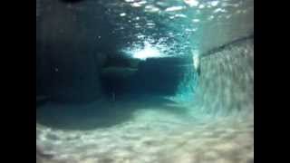 preview picture of video 'Underwater Salt Water Swimming Pool Tour - Point Loma Pool Service'