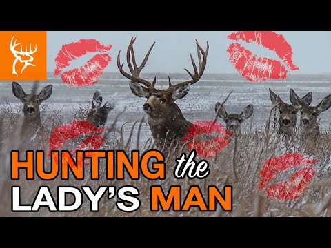 Biggest Buck Yet!! | Rochey Colorado Mule Deer | Buck Commander