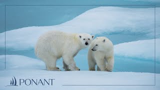 L'ARCTIQUE, aux origines de la Terre