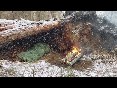 Shelter under Log and Roots with Nodja Fire. Solo Bushcraft Survival.
