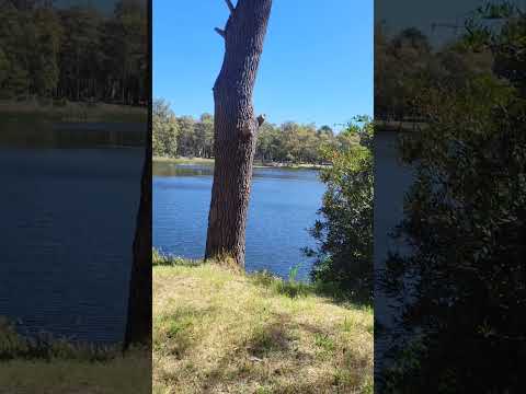 Parque ROOSEVELT, Canelones, Uruguay #turismo #uruguay