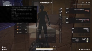 体調悪いから1時間だけ【PUBG】