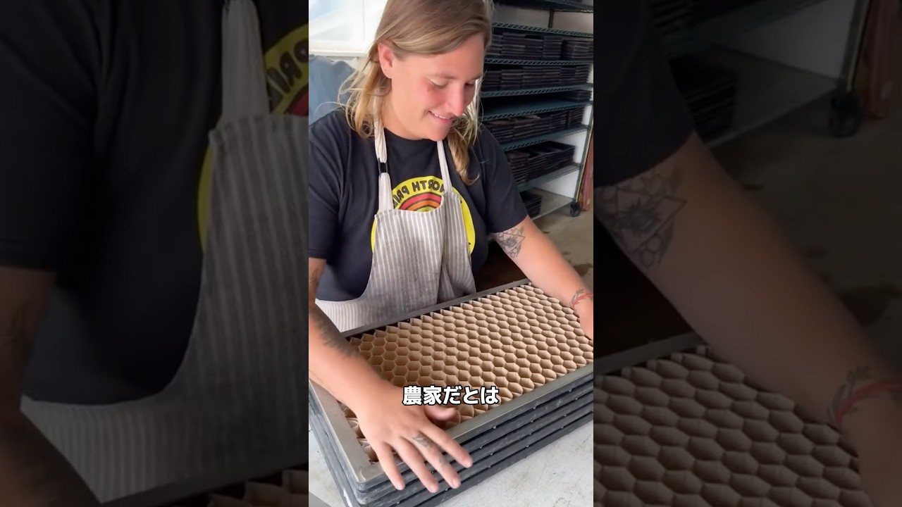 アメリカの農家が高速で苗を植える方法