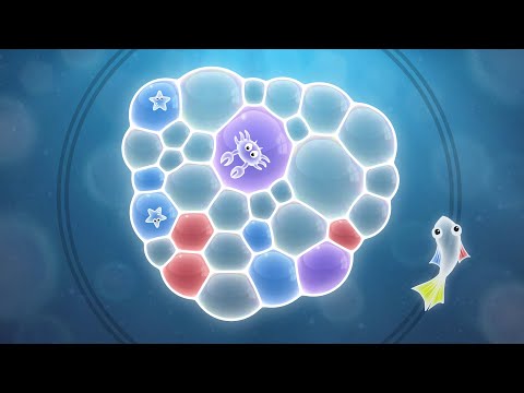 Видеоклип на Tiny Bubbles