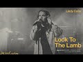 Look To The Lamb