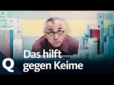 No chance for multi-resistant germs! 3 important rules | Quarks