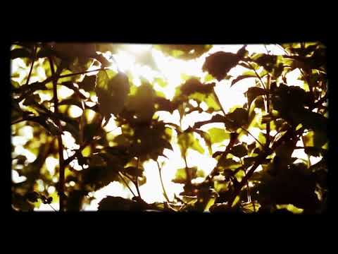 Starcruiser 8 - how did we get here?