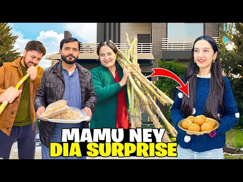 Hamarey Goan Say Mamu Special Gifts Laye😍|Ghr Per Pizza Party 🥳| Desi piniyon Ki Recipe |Sistrology 