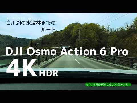 白川湖の水没林までのルートのご紹介／2026年版｜山形県飯豊町