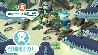 바다 탐험대 옥토넛 - 창꼬치 (시즌3 에피소드2 - 전체에피소드)