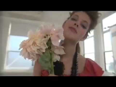 White House Black Market Spring Collection